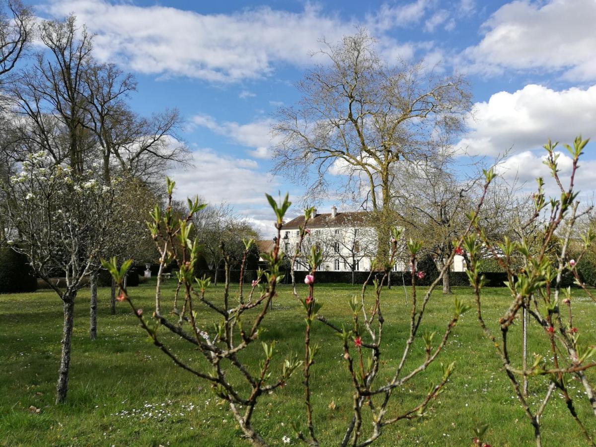 Saint-Sauveur-sur-Ecole Chateau De Brinville מראה חיצוני תמונה
