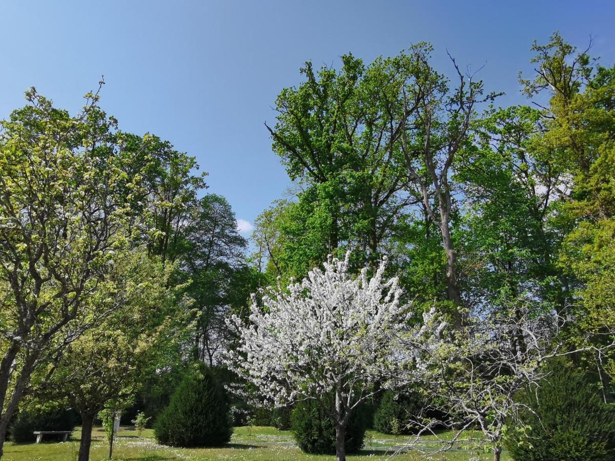 Saint-Sauveur-sur-Ecole Chateau De Brinville מראה חיצוני תמונה