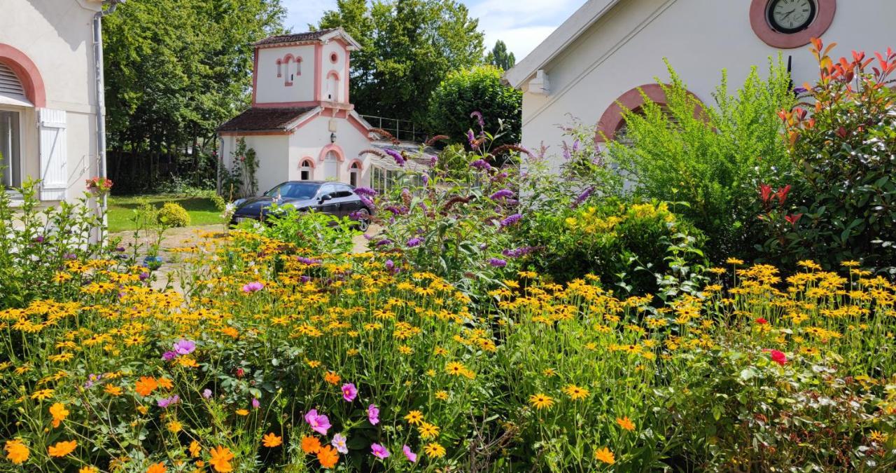 Saint-Sauveur-sur-Ecole Chateau De Brinville מראה חיצוני תמונה