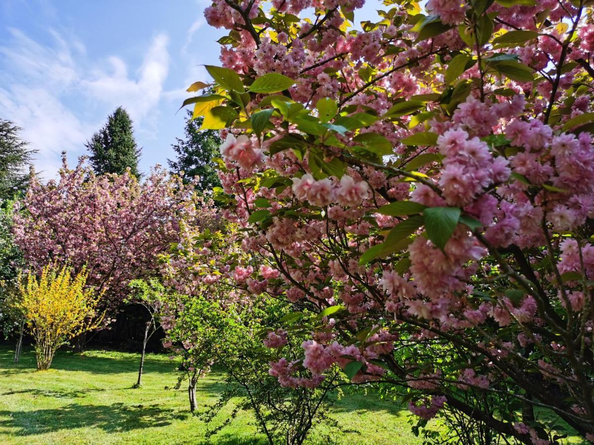 Saint-Sauveur-sur-Ecole Chateau De Brinville מראה חיצוני תמונה