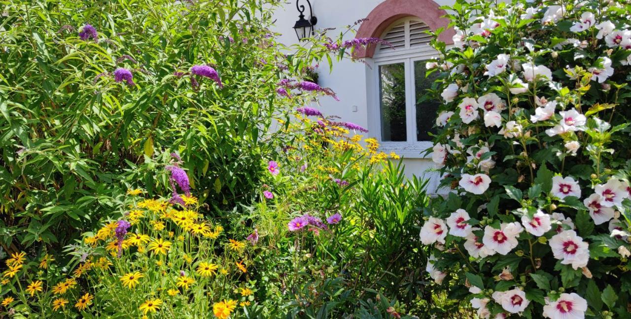 Saint-Sauveur-sur-Ecole Chateau De Brinville מראה חיצוני תמונה