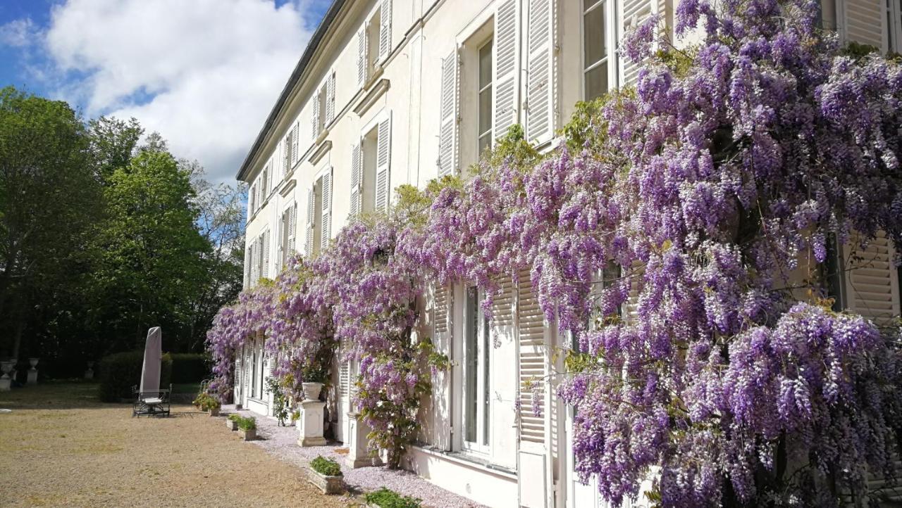 Saint-Sauveur-sur-Ecole Chateau De Brinville מראה חיצוני תמונה