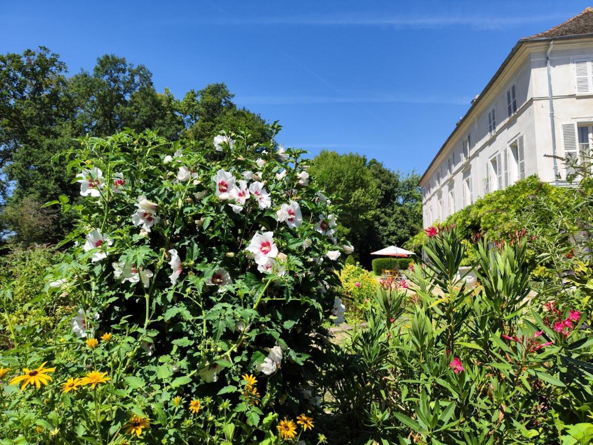 Saint-Sauveur-sur-Ecole Chateau De Brinville מראה חיצוני תמונה