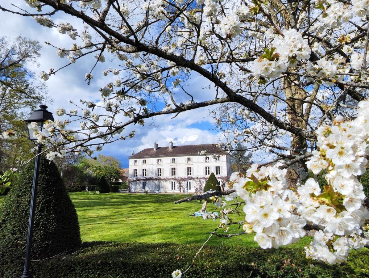 Saint-Sauveur-sur-Ecole Chateau De Brinville מראה חיצוני תמונה